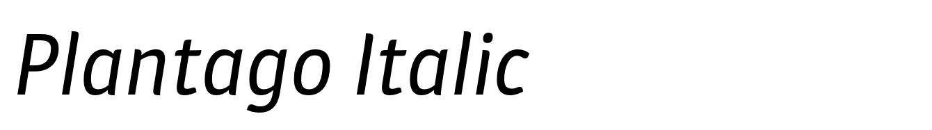 Plantago Italic